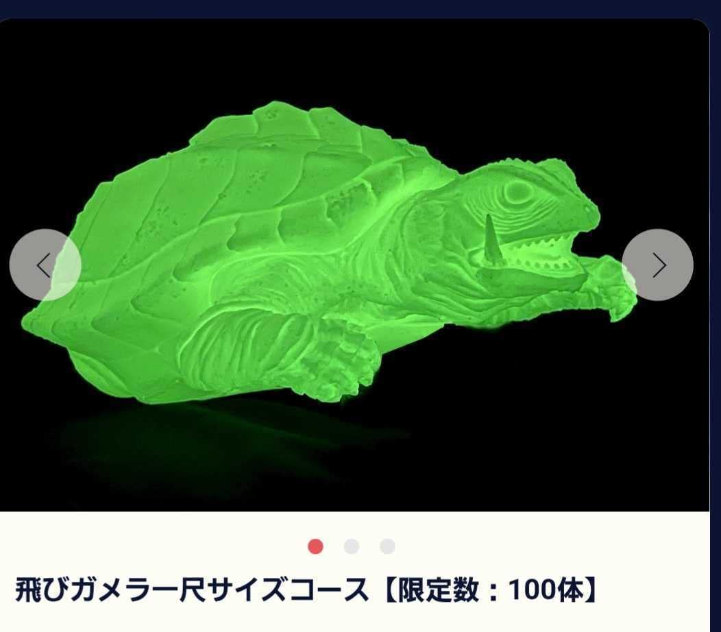 Amazon.co.jp: 飛びガメラ 1尺サイズ 蓄光版 「ガメラ 大怪獣 空中 戦